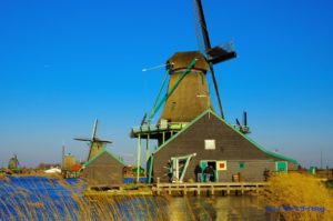 ザーンセ・スカンスで可愛い風車に!キンデルダイクよりもおすすめする3つの理由