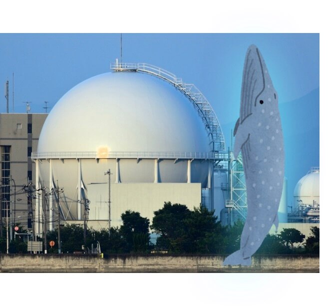 クジラの大きさはガスタンクと同じくらい